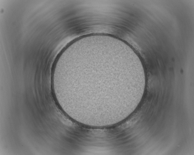 X0000089700836200706211316