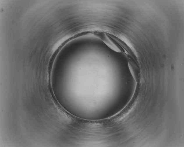 X0000089700837200706211316