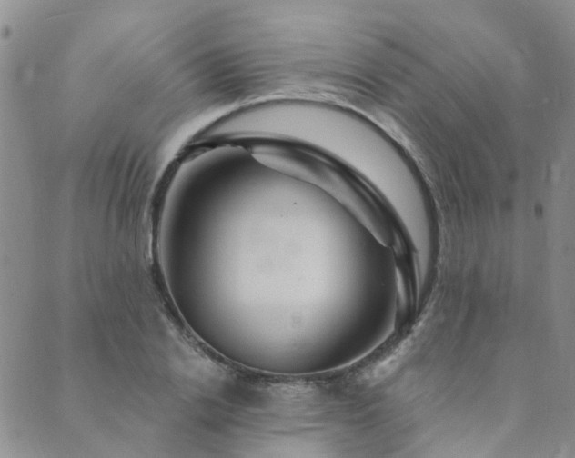 X0000089700838200706211316