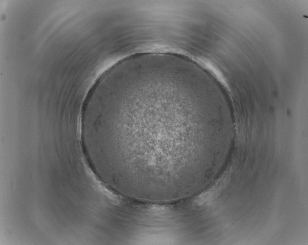 X0000089700839200706211316