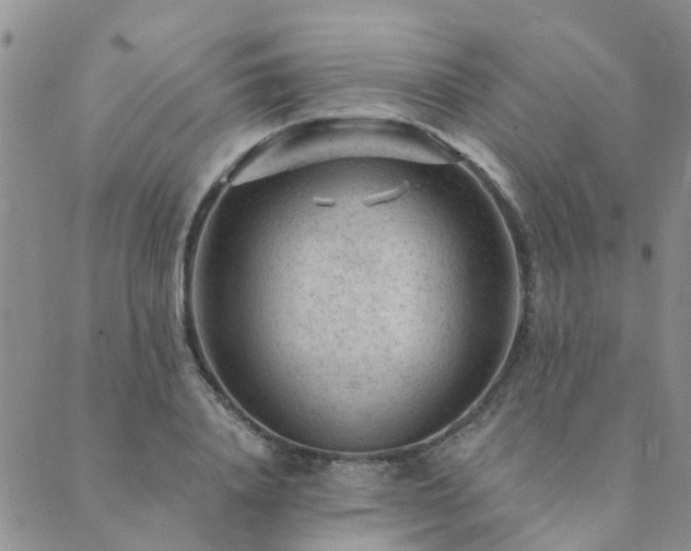 X0000089700840200706211316