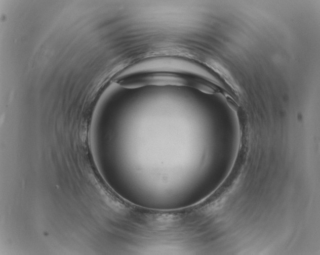 X0000089700841200706211316