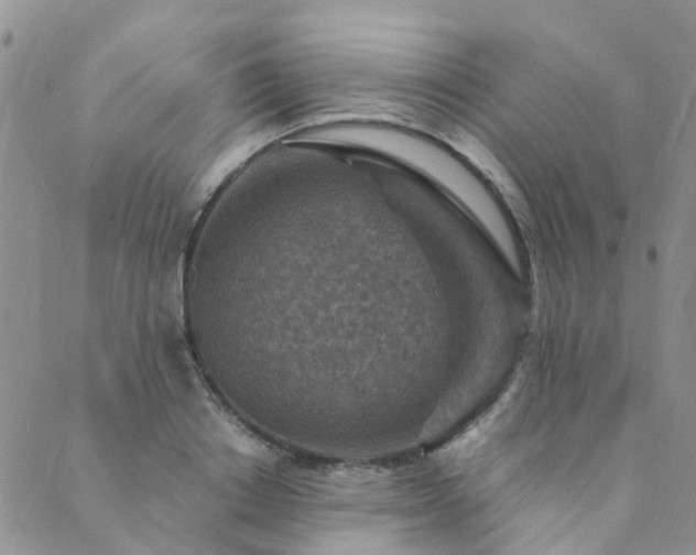 X0000089700842200706211316