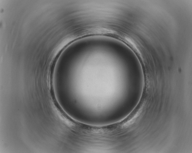 X0000089700843200706211316