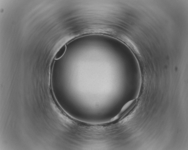 X0000089700844200706211316