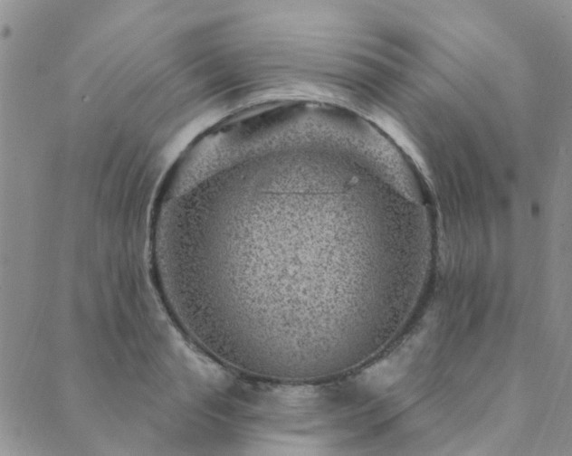 X0000089700845200706211316