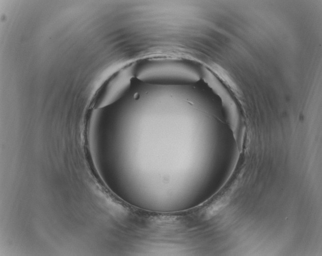 X0000089700846200706211316