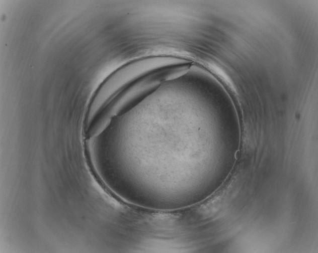 X0000089700847200706211316