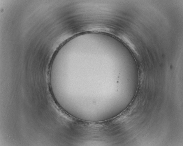 X0000089700848200706211316