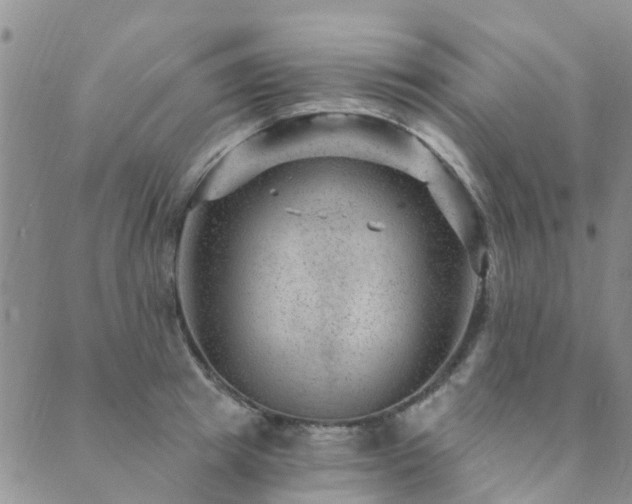 X0000089700849200706211316