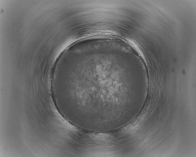 X0000089700851200706211316