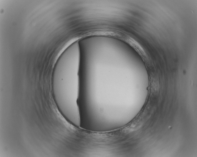 X0000089700852200706211316