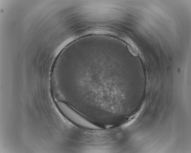 X0000089700853200706211316