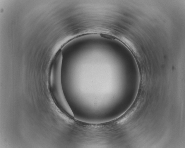 X0000089700854200706211316