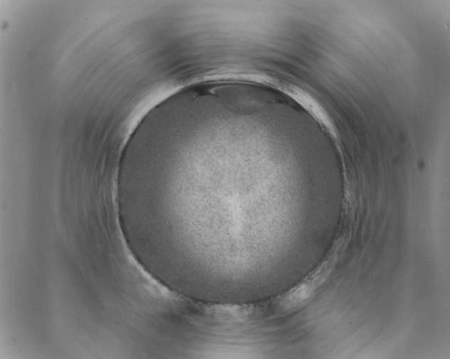 X0000089700855200706211316