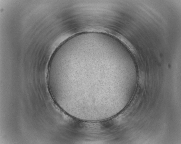 X0000089700856200706211316