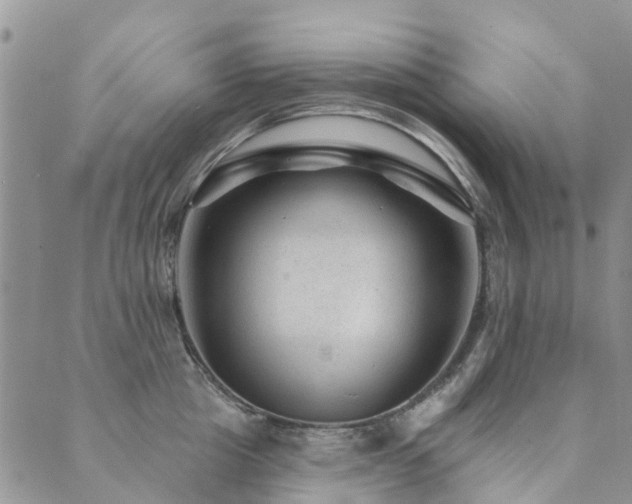 X0000089700857200706211316