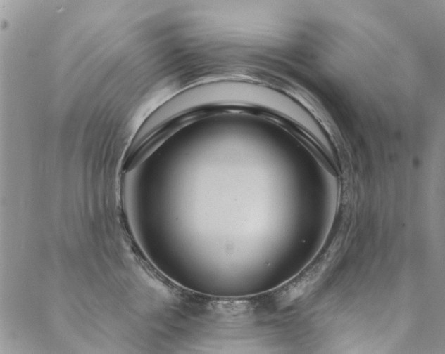 X0000089700858200706211316