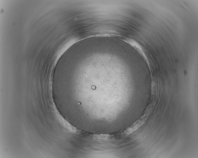 X0000089700859200706211316