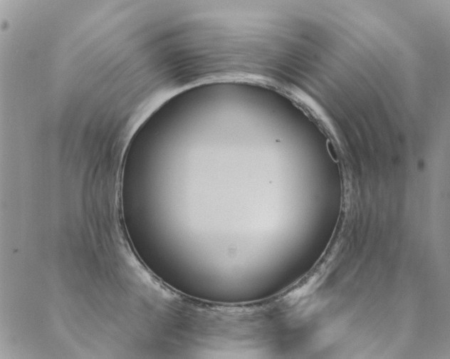 X0000089700860200706211316