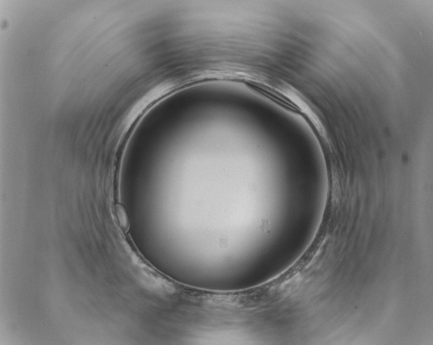 X0000089700861200706211316