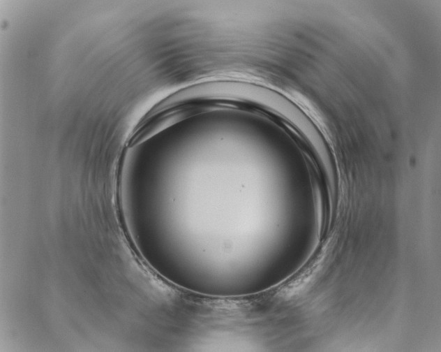 X0000089700862200706211316