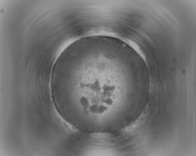 X0000089700863200706211316