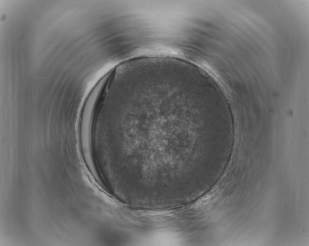 X0000089700864200706211316