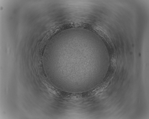 X0000089700865200706211316