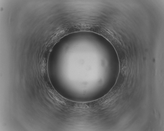 X0000089700866200706211316