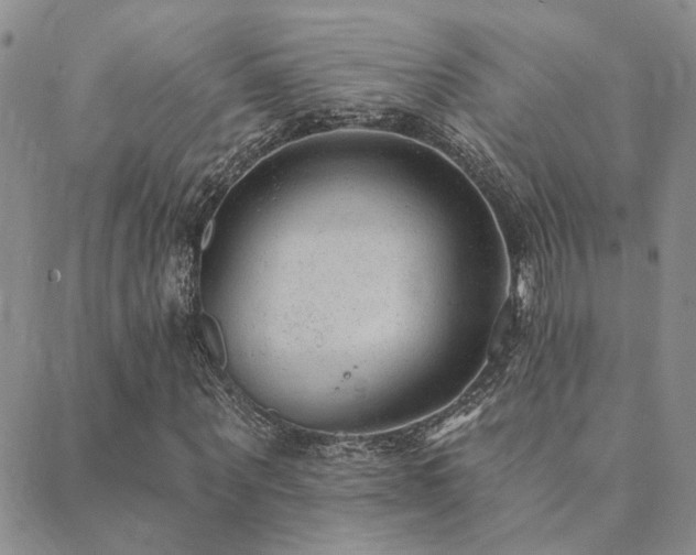 X0000089700867200706211316