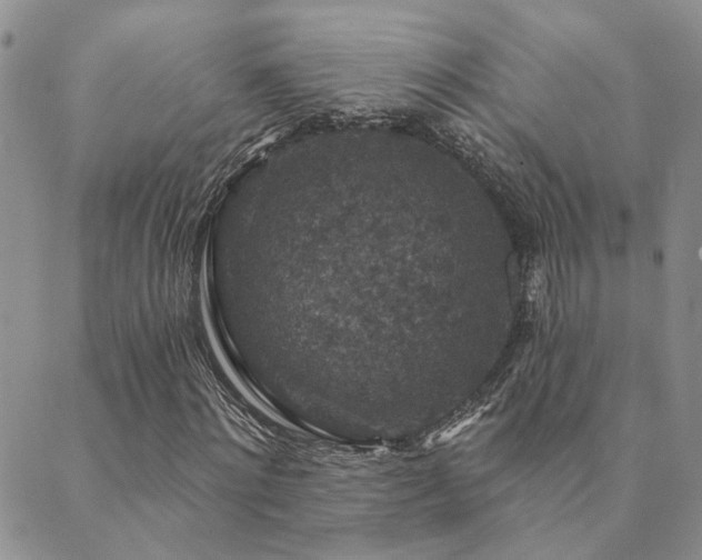 X0000089700868200706211316