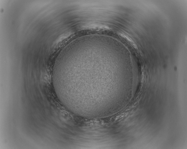 X0000089700869200706211316