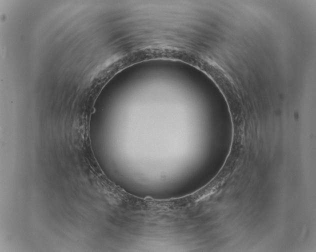 X0000089700870200706211315