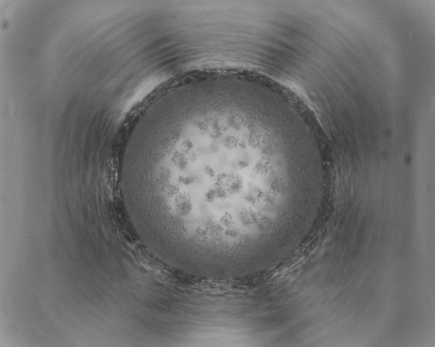 X0000089700871200706211315