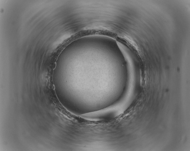 X0000089700872200706211315