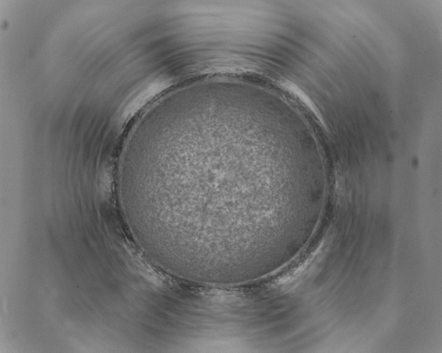 X0000089700874200706211315