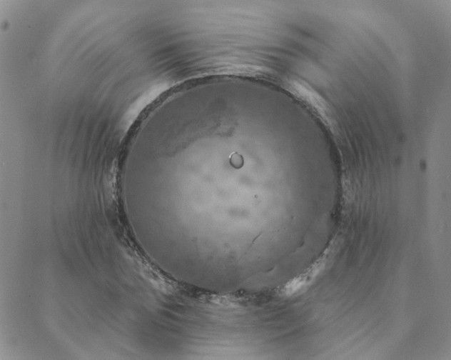 X0000089700875200706211315