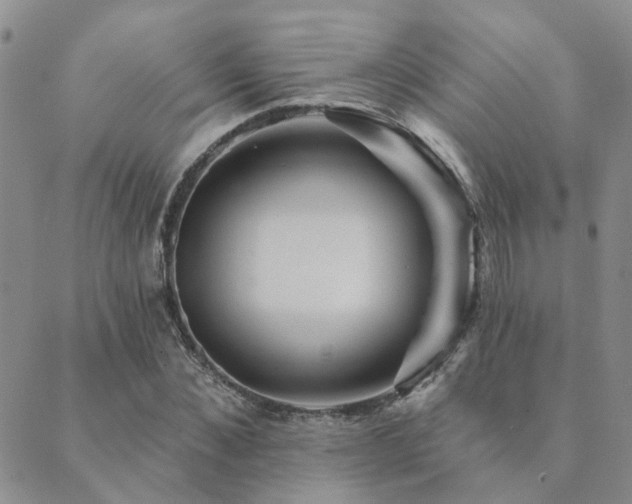 X0000089700876200706211315