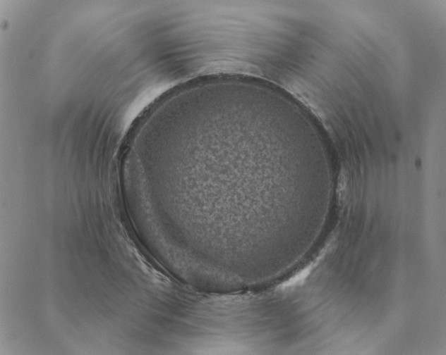 X0000089700877200706211315