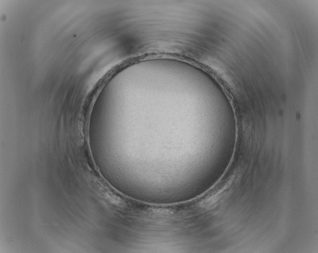 X0000089700878200706211315