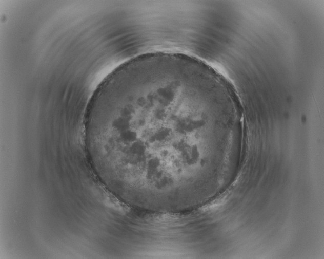 X0000089700879200706211315