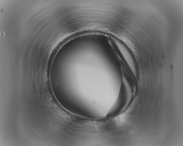 X0000089700880200706211315