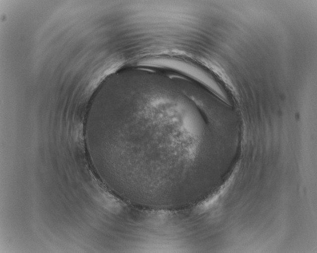 X0000089700881200706211315