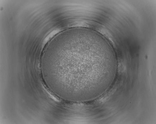 X0000089700882200706211315