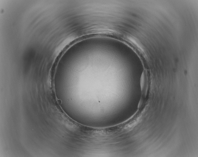 X0000089700883200706211315