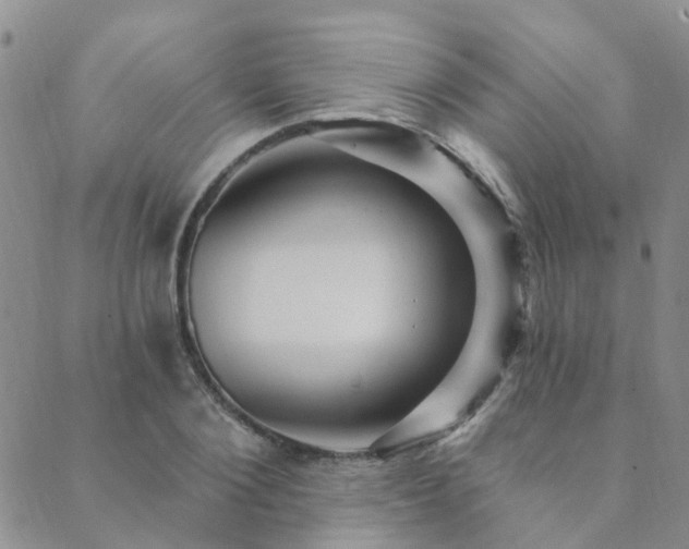 X0000089700884200706211315