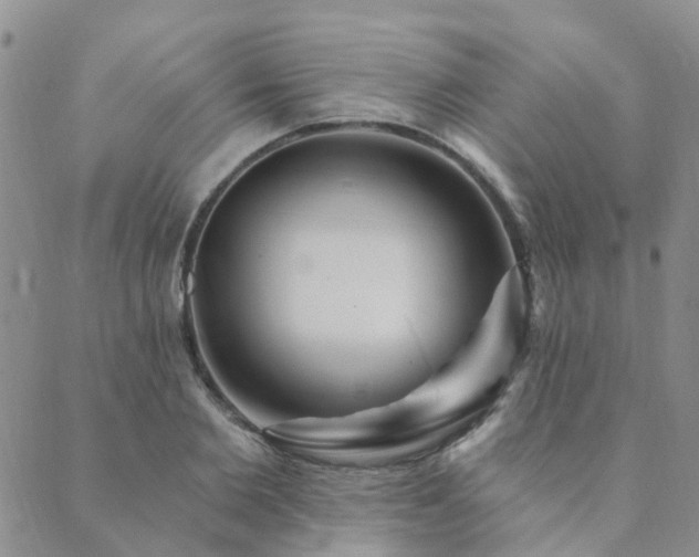 X0000089700885200706211315