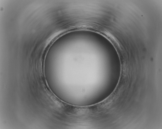 X0000089700886200706211315