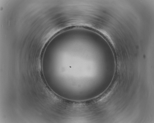 X0000089700887200706211315